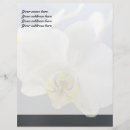 Zoek naar orchidee bloemen briefpapier Natuur