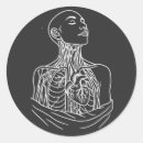 Recherche de anatomie autocollants Médical