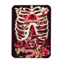 Recherche de anatomie magnets Drôle