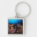 Recherche de plongée sous marine porteclés Aventure