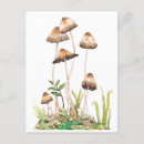 Recherche de forestier cartes postales Bois