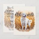 Recherche de chien blanc invitations Amoureux des chiens