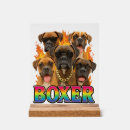 Recherche de chiens boxeur art Chiot