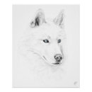 Recherche de siberian husky posters Chiot