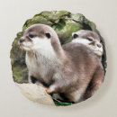 Recherche de mustelid coussins Animaux