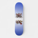Recherche de pièce skateboards Batterie