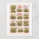 Zoek naar vintage bloemen briefkaarten Antiek