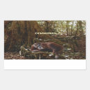 Recherche de orang outan autocollants Animaux