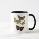 Recherche de mite tasses Papillon