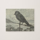 Zoek naar kijken puzzels Vogel