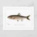 Recherche de pêche à la ligne cartes postales Vintage
