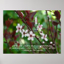 Zoek naar chinese tuin posters Natuur