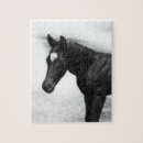 Zoek naar veulen puzzels Paarden