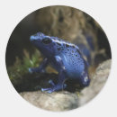 Recherche de grenouille bleue autocollants Pour tous