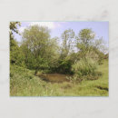 Recherche de bois naturel cartes postales Arbres