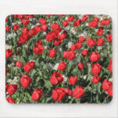 Zoek naar witte tulpen muismatten Lente