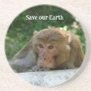Recherche de singe dessous de verres Animal