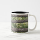 Recherche de camomille tasses Nature