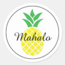 Recherche de ananas jaune autocollants Hawaïen