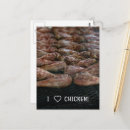 Zoek naar kip briefkaarten Hen