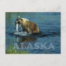 Recherche de bruns cartes postales Alaska