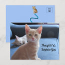 Recherche de surprise cartes postales Chat