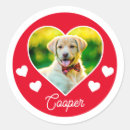 Recherche de extraction autocollants Amoureux des chiens