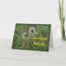 Recherche de pissenlit anniversaire cartes Fleurs