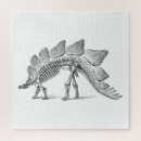 Recherche de fossile puzzles Dinosaure