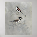Recherche de aviaire art Oiseaux