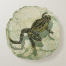 Recherche de crapauds coussins Grenouille