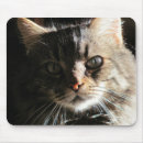 Recherche de visages tapis souris Friend