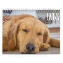 Recherche de labrador calendriers Mignon