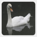 Recherche de cygne blanc autocollants Beau