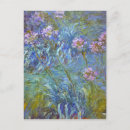 Recherche de agapanthus cartes postales Claude monet