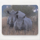 Recherche de rhinoceros tapis souris Animaux