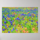 Zoek naar impressionisten posters Bloemen
