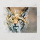 Recherche de chats sauvages cartes postales Nature