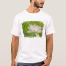 Recherche de aquatique tshirts Blanc