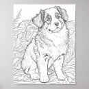 Recherche de chien berger australien posters Illustration