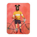 Recherche de levrier magnets Chien de lévrier