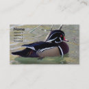 Recherche de canard en bois cartes visite Nature