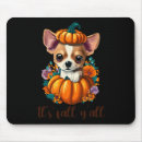 Recherche de batte vampire tapis souris Film