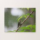 Recherche de colibri puzzles Branche