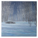 Zoek naar cardinals tegels Winter