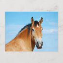 Recherche de tête de cheval cartes postales Équine