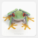 Recherche de humour de grenouille autocollants Animal