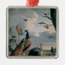 Recherche de oiseau exotique ornements Paon