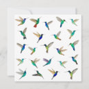 Zoek naar kolibri posters Tropisch