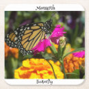 Recherche de papillon monarque dessous de verres Photographie